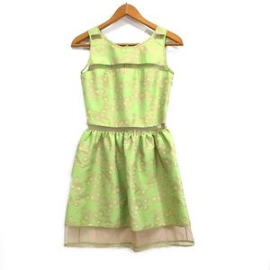 Saunder New York Dress